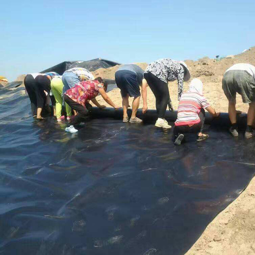 结合场地周边情况以及围堰工程使用要求，围堰等级是多少